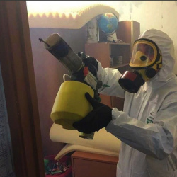 Уничтожение клопов в квартире. Бобров
